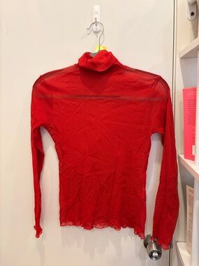 Red Sheer Turtleneck Long Sleeve Top